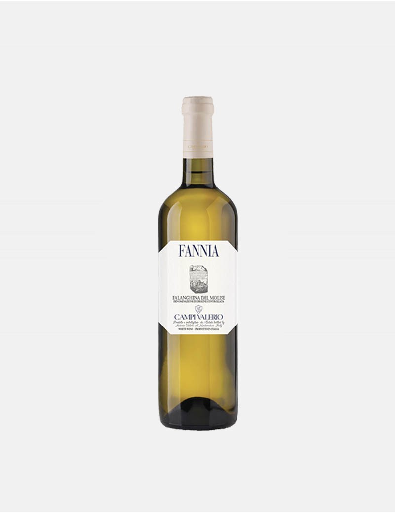 Fannia falanghina del Molise